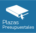 Plazas Presupuestales